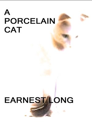 cover image of A Porcelain Cat
